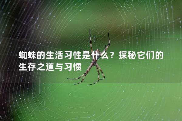 蜘蛛的生活習性是什么？探秘它們的生存之道與習慣